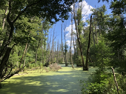 gimli OnlyFans - Free Access to 32 Videos & 49 Photos Onlyfans Free Access