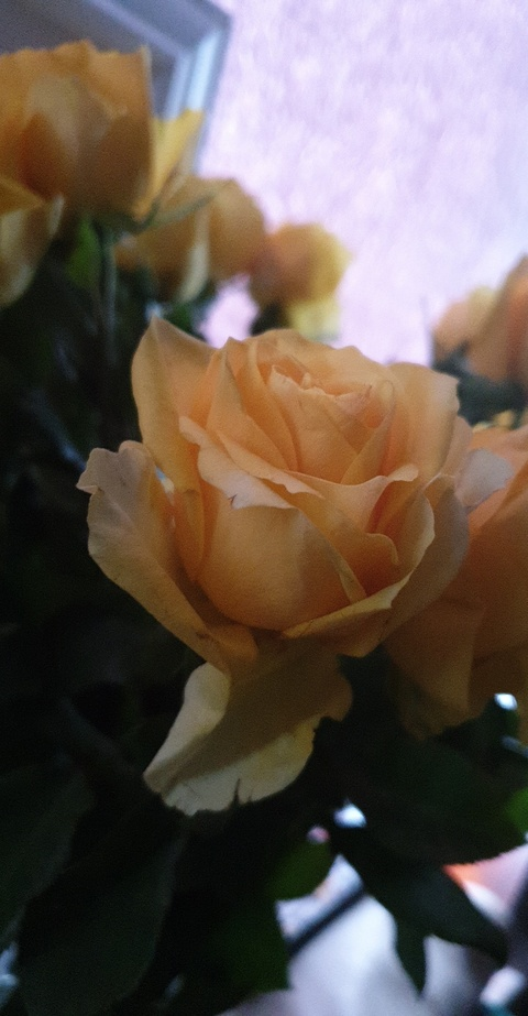 gingertemptress2000 OnlyFans - Free Access to 32 Videos & 49 Photos Onlyfans Free Access