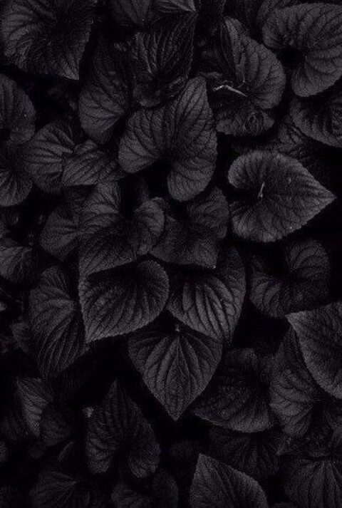 haileeybbw OnlyFans - Free Access to 32 Videos & 49 Photos Onlyfans Free Access