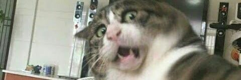 hanz1 OnlyFans - Free Access to 32 Videos & 49 Photos Onlyfans Free Access