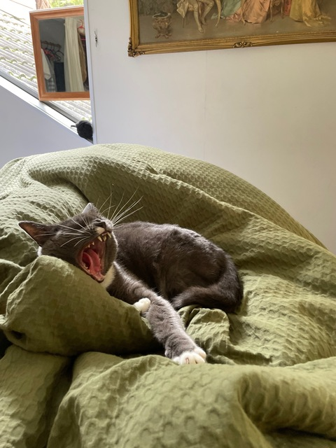 heavenlytreasure2 OnlyFans - Free Access to 32 Videos & 49 Photos Onlyfans Free Access