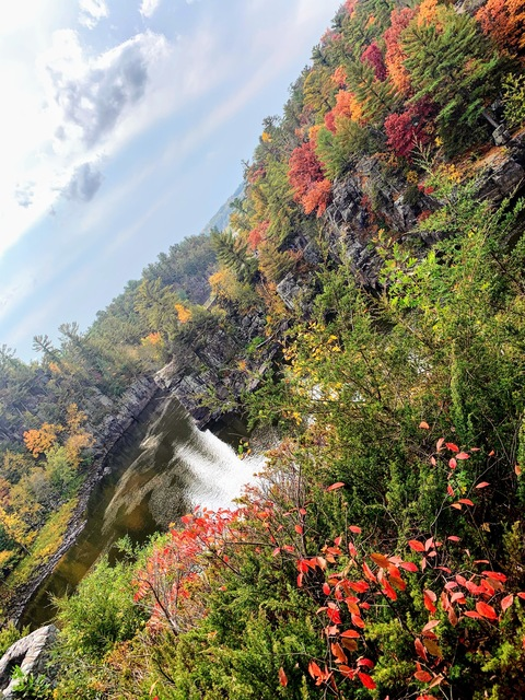 helloitsjaz OnlyFans - Free Access to 32 Videos & 49 Photos Onlyfans Free Access