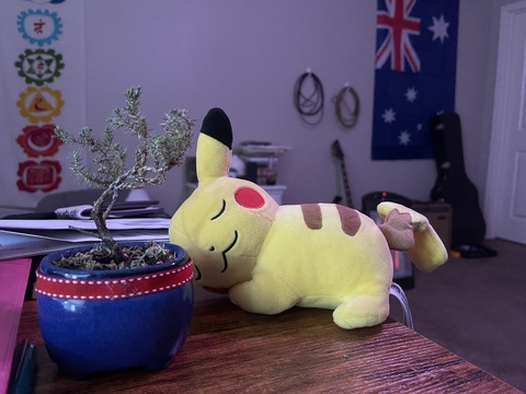 hi_im_kip OnlyFans - Free Access to 41 Videos & 77 Photos Onlyfans Free Access