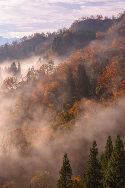 honeybeeblazed OnlyFans - Free Access to 32 Videos & 49 Photos Onlyfans Free Access