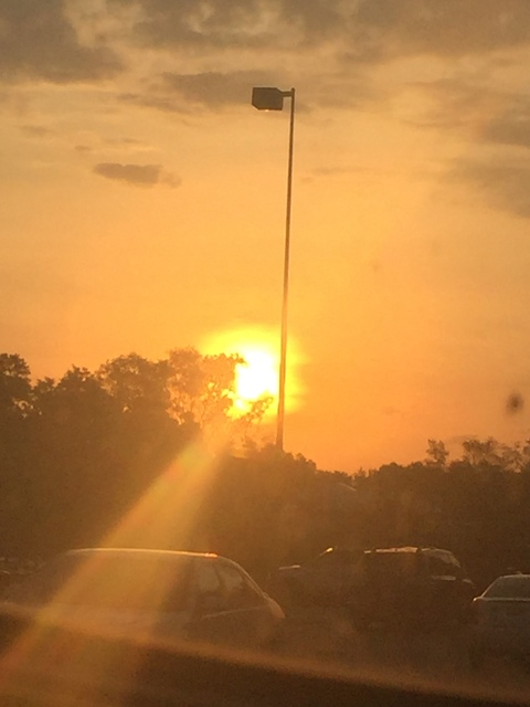 invalid404error OnlyFans - Free Access to 33 Videos & 350 Photos Onlyfans Free Access