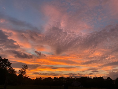 itsyagirlsky OnlyFans - Free Access to 40 Videos & 139 Photos Onlyfans Free Access