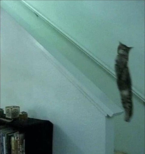 iveylovly OnlyFans - Free Access to 32 Videos & 49 Photos Onlyfans Free Access