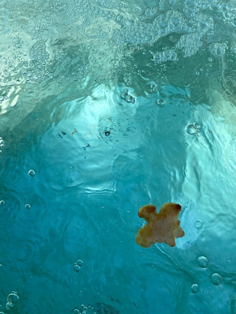 jacquielee OnlyFans - Free Access to 32 Videos & 49 Photos Onlyfans Free Access