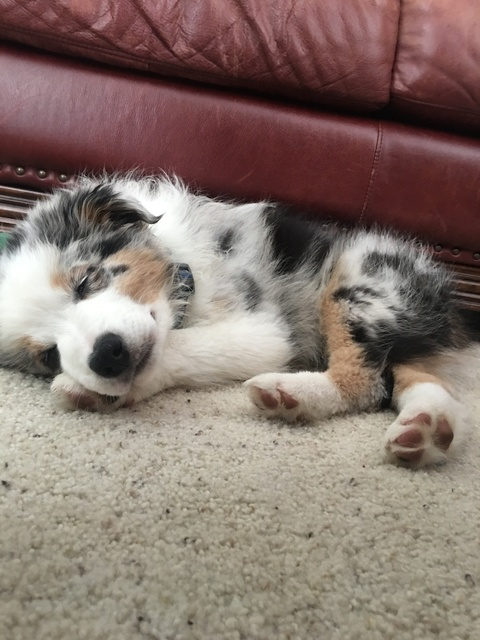 jas43 OnlyFans - Free Access to 32 Videos & 76 Photos Onlyfans Free Access