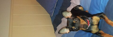 jaster OnlyFans - Free Access to 32 Videos & 49 Photos Onlyfans Free Access