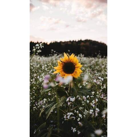 jennifers OnlyFans - Free Access to 32 Videos & 49 Photos Onlyfans Free Access