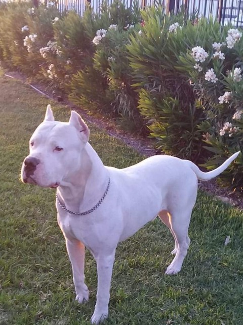 jorge504 OnlyFans - Free Access to 32 Videos & 49 Photos Onlyfans Free Access