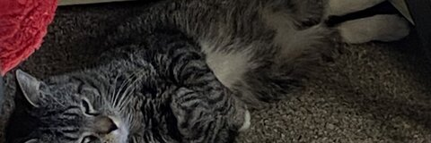 jos41yn OnlyFans - Free Access to 32 Videos & 49 Photos Onlyfans Free Access