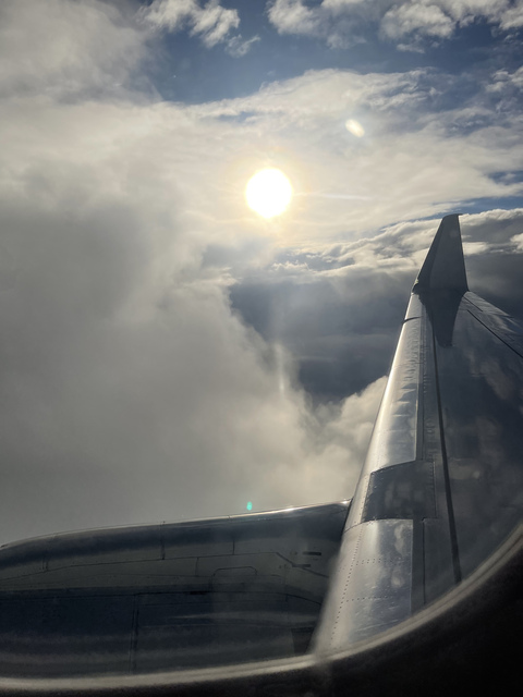 junglequeenn OnlyFans - Free Access to 195 Videos & 385 Photos Onlyfans Free Access