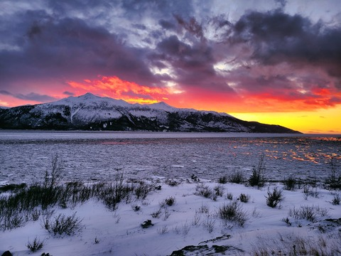 killerbunnie OnlyFans - Free Access to 32 Videos & 49 Photos Onlyfans Free Access