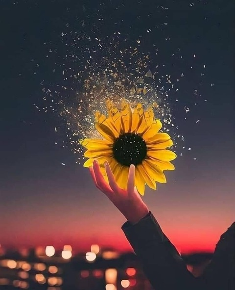 kinsby OnlyFans - Free Access to 32 Videos & 99 Photos Onlyfans Free Access