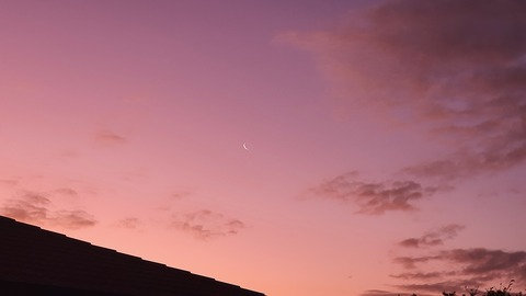 kitty-blackheart OnlyFans - Free Access to 67 Videos & 326 Photos Onlyfans Free Access