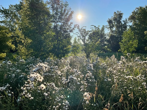 lanihoney OnlyFans - Free Access to 32 Videos & 49 Photos Onlyfans Free Access