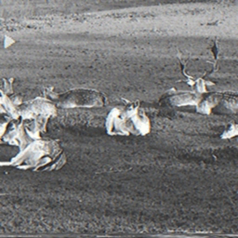 laros OnlyFans - Free Access to 32 Videos & 49 Photos Onlyfans Free Access