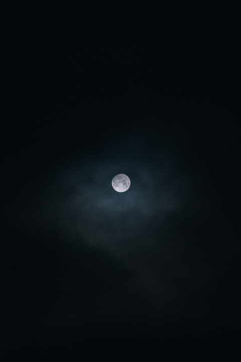 leehee OnlyFans - Free Access to 32 Videos & 49 Photos Onlyfans Free Access