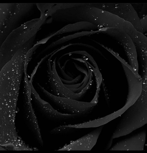 lena-99 OnlyFans - Free Access to 32 Videos & 49 Photos Onlyfans Free Access