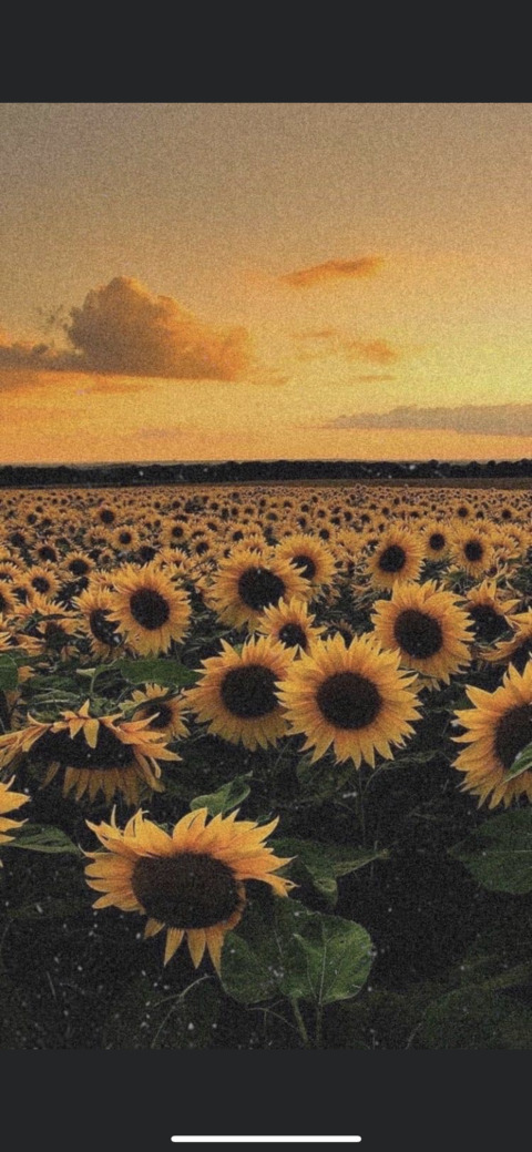 little_feet19 OnlyFans - Free Access to 32 Videos & 49 Photos Onlyfans Free Access