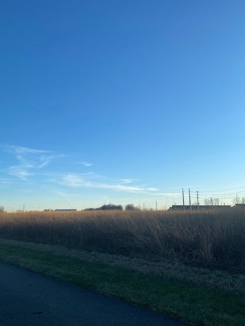 littlemothxo OnlyFans - Free Access to 32 Videos & 49 Photos Onlyfans Free Access