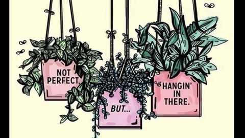 littykitkat OnlyFans - Free Access to 32 Videos & 49 Photos Onlyfans Free Access