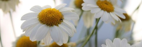 livlove OnlyFans - Free Access to 32 Videos & 49 Photos Onlyfans Free Access