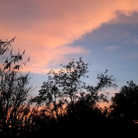 lizzz.gp OnlyFans - Free Access to 32 Videos & 49 Photos Onlyfans Free Access