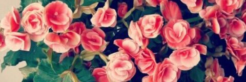 loollypop24 OnlyFans - Free Access to 32 Videos & 49 Photos Onlyfans Free Access