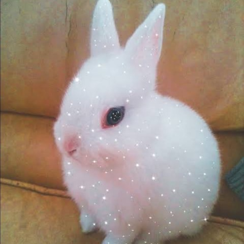 love3ly OnlyFans - Free Access to 32 Videos & 49 Photos Onlyfans Free Access