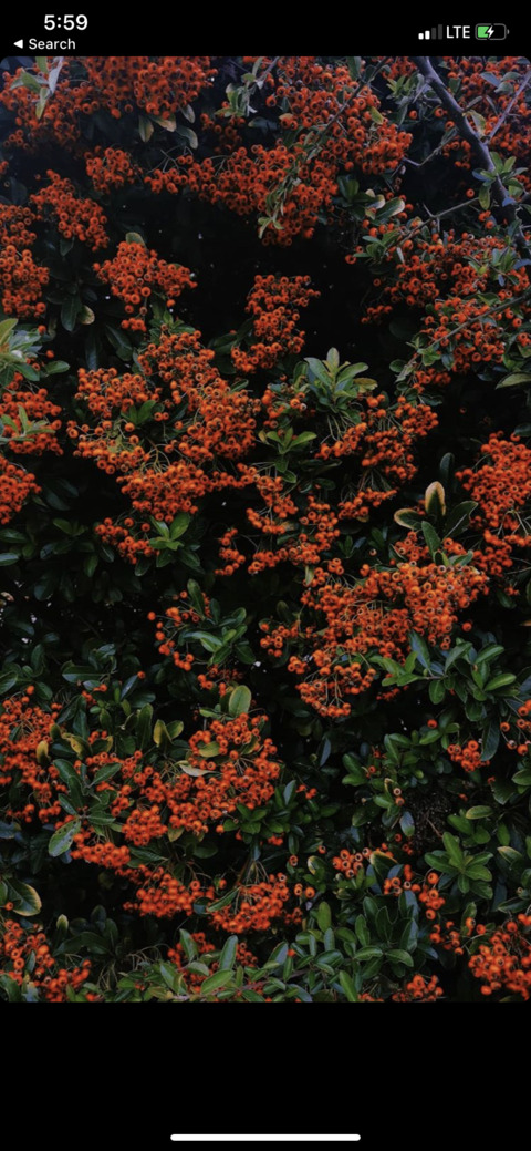 lucygray OnlyFans - Free Access to 103 Videos & 1016 Photos Onlyfans Free Access