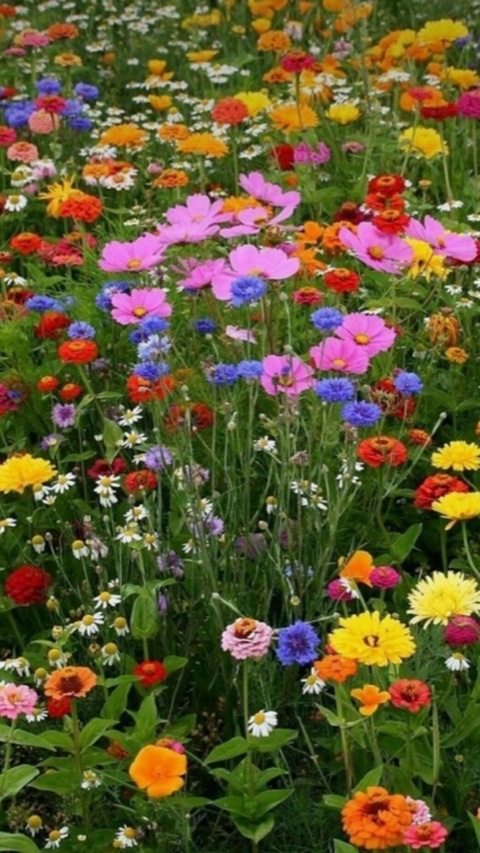 lunalovesgood24 OnlyFans - Free Access to 32 Videos & 49 Photos Onlyfans Free Access