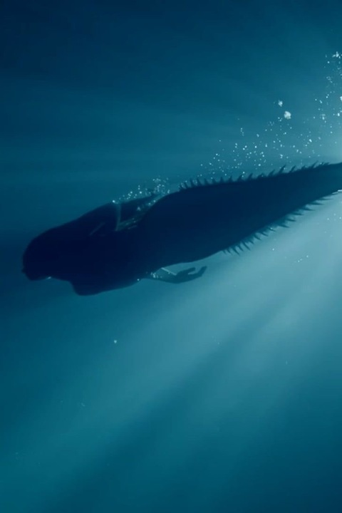 lunamialikestoeat OnlyFans - Free Access to 51 Videos & 413 Photos Onlyfans Free Access