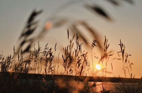 lynmitchell OnlyFans - Free Access to 32 Videos & 49 Photos Onlyfans Free Access