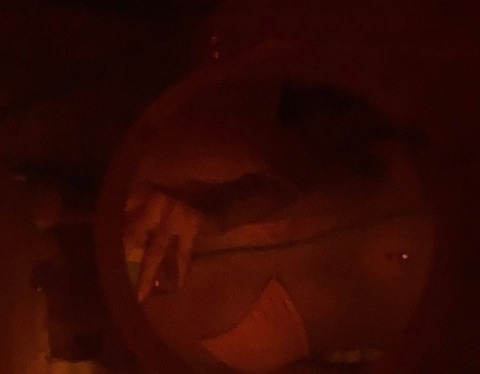 maddisonrosee OnlyFans - Free Access to 32 Videos & 49 Photos Onlyfans Free Access