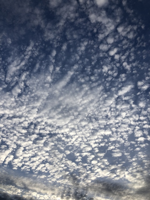 maddy199x OnlyFans - Free Access to 32 Videos & 49 Photos Onlyfans Free Access