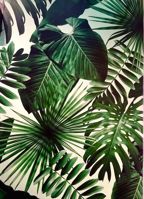 mariane OnlyFans - Free Access to 32 Videos & 49 Photos Onlyfans Free Access