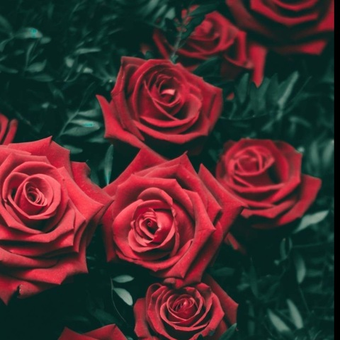 mariehelen OnlyFans - Free Access to 32 Videos & 56 Photos Onlyfans Free Access