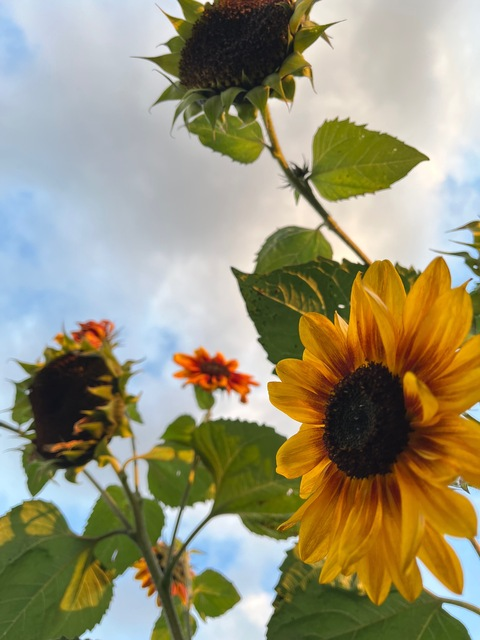 martyna.opoka OnlyFans - Free Access to 32 Videos & 49 Photos Onlyfans Free Access