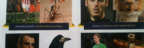 melissacalista OnlyFans - Free Access to 32 Videos & 49 Photos Onlyfans Free Access