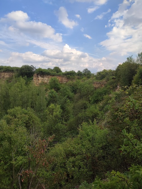 mickeyymouse OnlyFans - Free Access to 32 Videos & 49 Photos Onlyfans Free Access