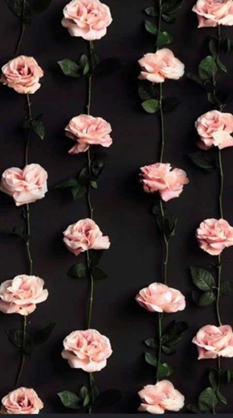 missgeorgiaxxx OnlyFans - Free Access to 32 Videos & 57 Photos Onlyfans Free Access