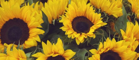 misslibraleigh OnlyFans - Free Access to 32 Videos & 49 Photos Onlyfans Free Access