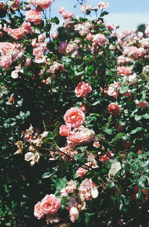 missmoonspirit OnlyFans - Free Access to 32 Videos & 49 Photos Onlyfans Free Access