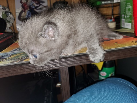 mj1997 OnlyFans - Free Access to 32 Videos & 49 Photos Onlyfans Free Access