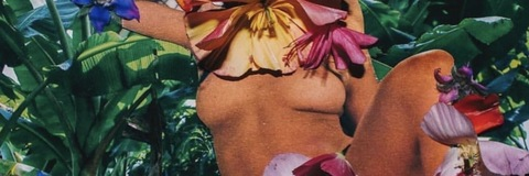 moana_lisa OnlyFans - Free Access to 32 Videos & 49 Photos Onlyfans Free Access