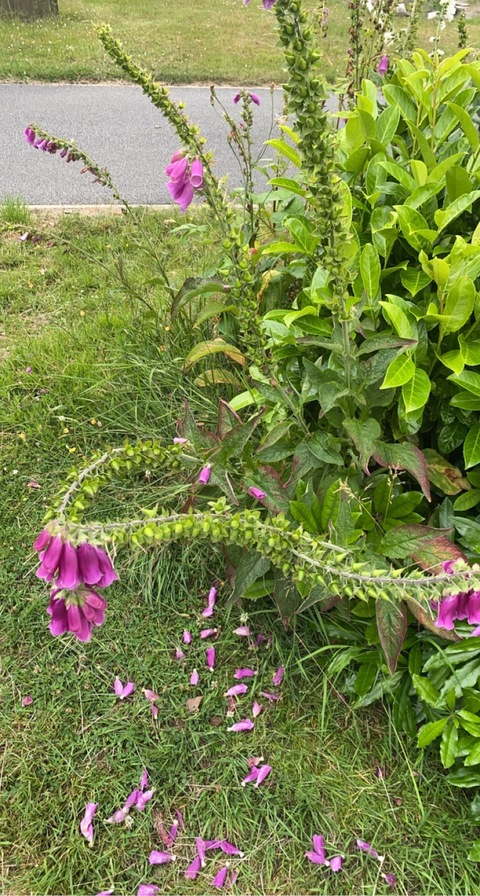 molly19 OnlyFans - Free Access to 32 Videos & 49 Photos Onlyfans Free Access