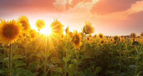 morganreese OnlyFans - Free Access to 165 Videos & 742 Photos Onlyfans Free Access